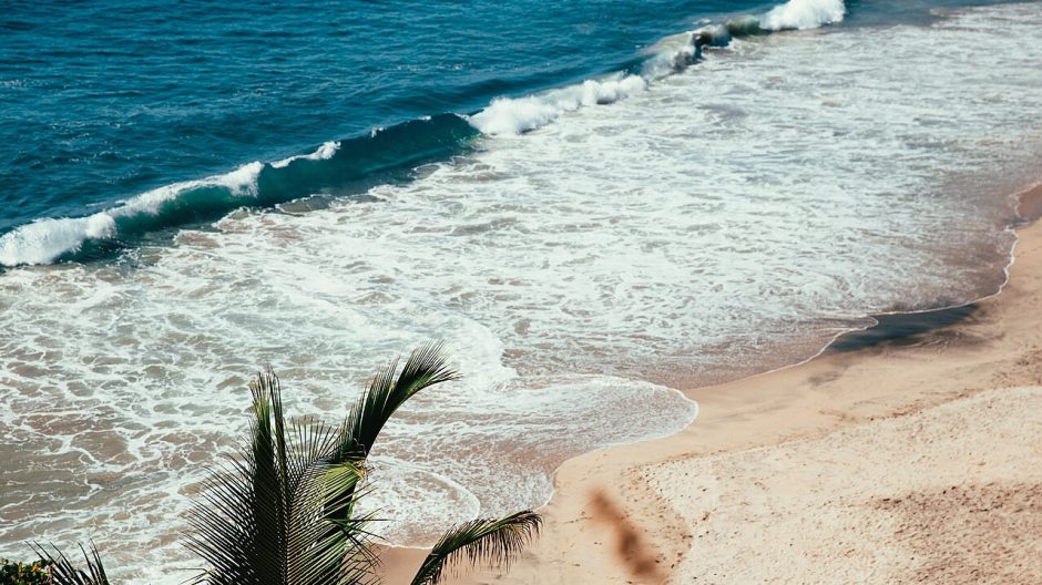 Waves washing onto a sandy tropical beach below a palm frond