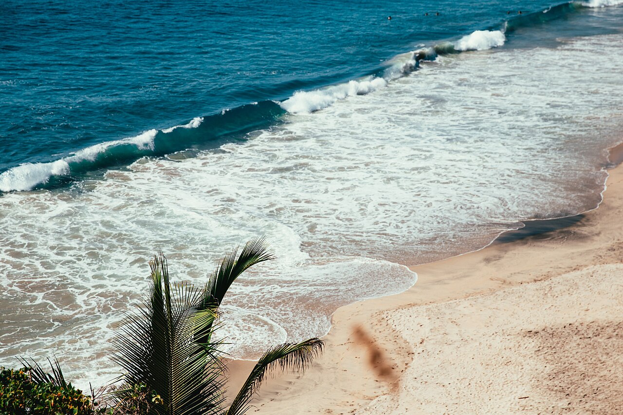 Waves washing onto a sandy tropical beach below a palm frond