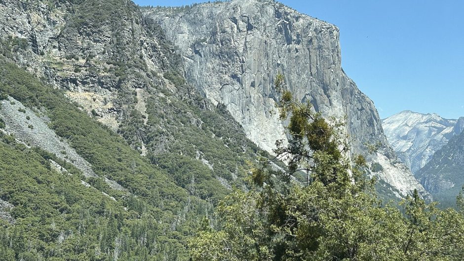 El Capitan and the forested slopes of Yosemite Valley under a blue sky