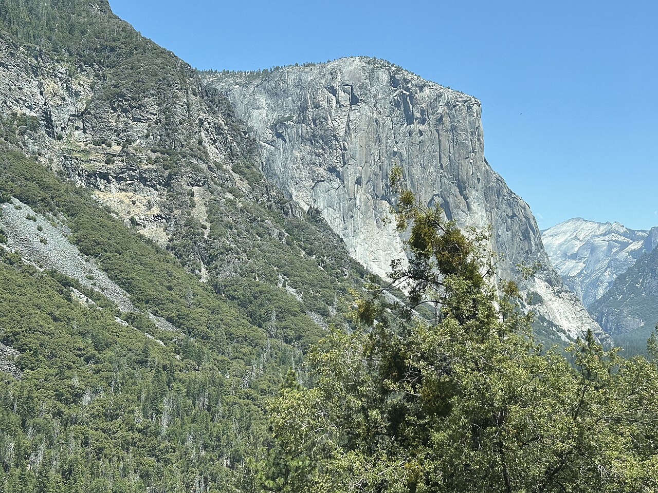 El Capitan and the forested slopes of Yosemite Valley under a blue sky
