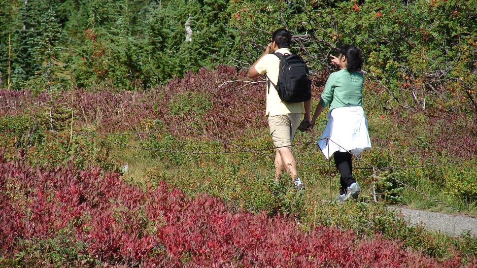 Two hikers walking a trail through red autumn shrubs and evergreens